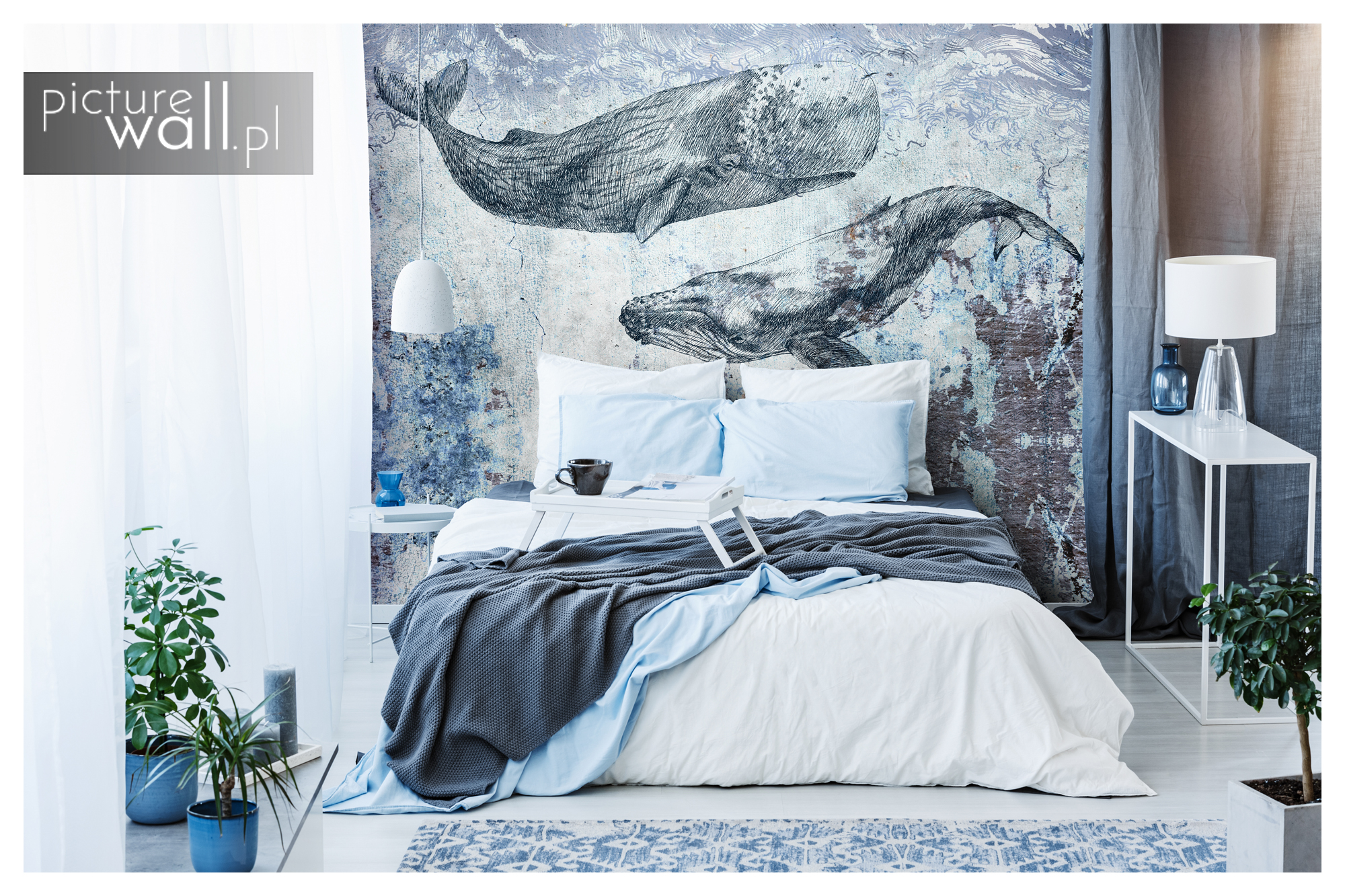 Fototapeta Rycina błękitne wieloryby